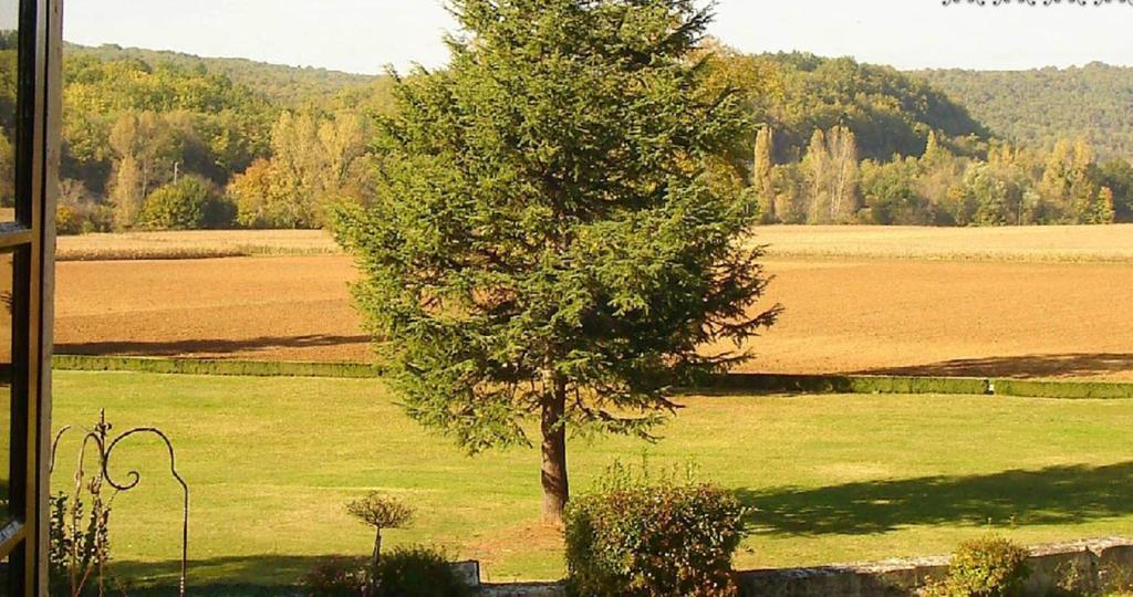 Condat-sur-Vezere Chateau La Fleunie - Hotel Et Restaurant חדר תמונה